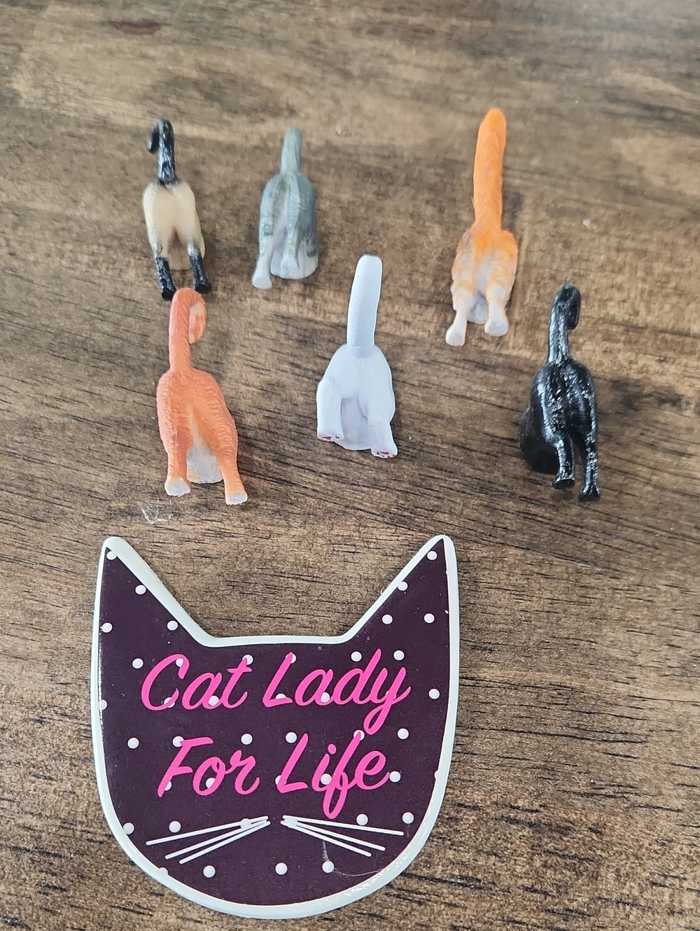 Cat Lady Magnet Set - Multi Color Decorative Cat Backs